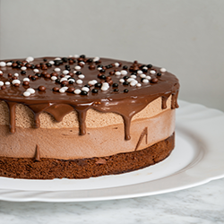 A delicious double chocolate cake with chocolate ganache icing on top.